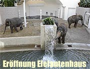 Feierliche Eröffnung des Elefantenhauses am 28.10.2016 - Hellabrunn hat sein Wahrzeichen wieder (©Foto: Ingrid Grossmann)
